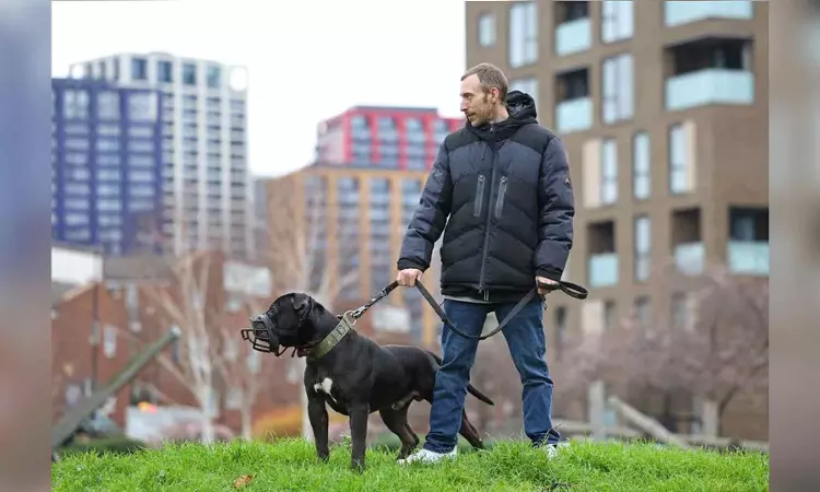 England bans unregistered XL Bully dogs after attacks