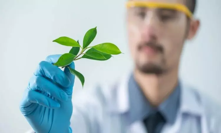 Plant receptors that regulate growth, immunity have common origin: Study
