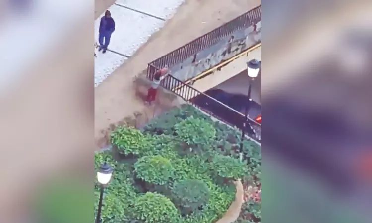 Boy throws puppy to death, FIR registered