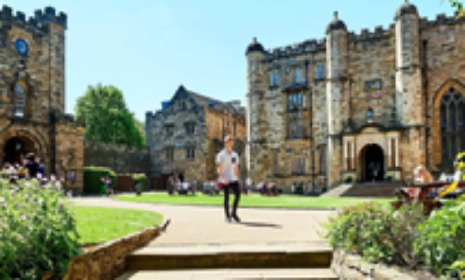 British universities to review international student admissions