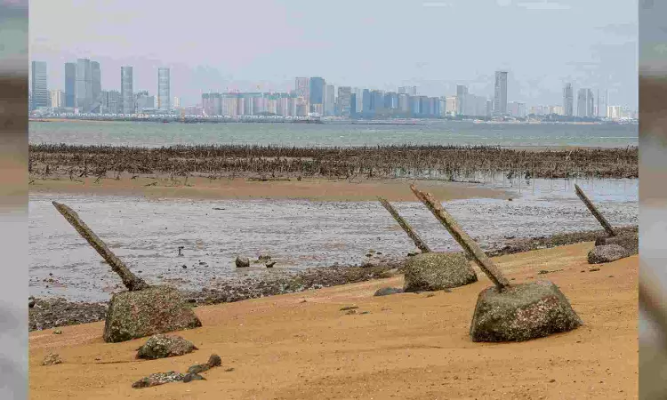 Battle-scarred Taiwanese islands star in Oscar nominated film