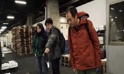 JETRO invites global buyers to exclusive Fukushima, Sanriku seafood tour