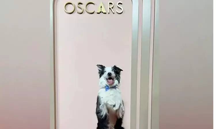 Oscar Nominees Luncheon 2024: Dog from Anatomy of a Fall grabs eyeballs Oscar Nominees Luncheon 2024: Dog from Anatomy of a Fall grabs eyeballs