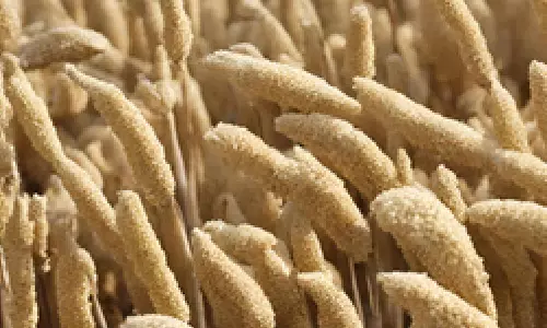 Punjab farmer turns exporter of ready-to-cook millets to Australia under Centres start-up scheme