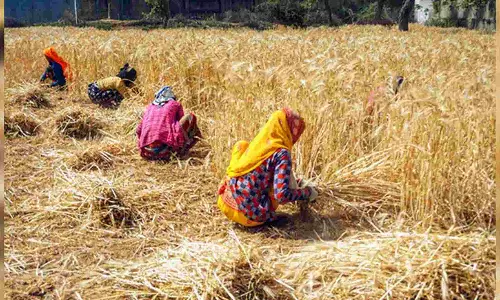 Even as Rahul promises MSP for all crops, Congress note of 2010 rejecting Swaminathan Commission surfaces