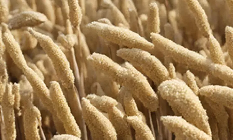Punjab farmer turns exporter of ready-to-cook millets to Australia under Centres start-up scheme