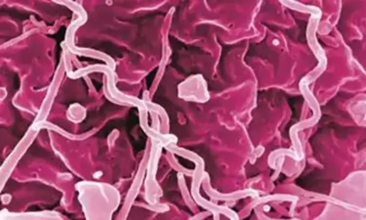 New paper-based platform can rapidly detect antibiotic-resistant bacteria