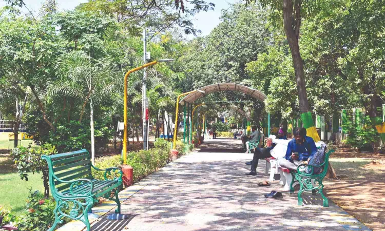 Urban Greening Project to increase tree cover in cities announced