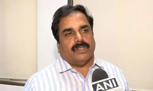 Maharashtra FDA cracks down on McDonalds for allegedly using substitutes in place of real cheese