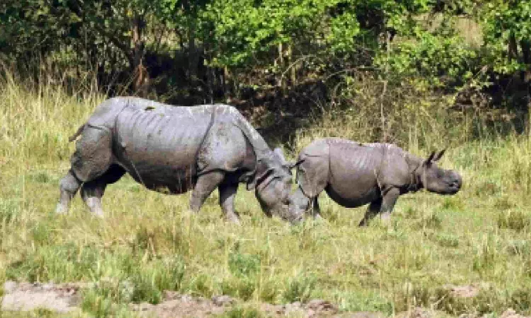 Researchers use pollen from Kaziranga National Park to decode climate change