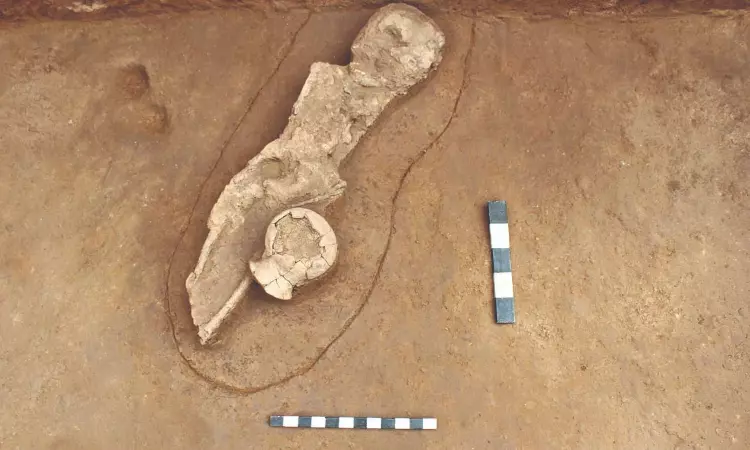 In a first, Neolithic child burial site found in TN In a first, Neolithic child burial site found in TN