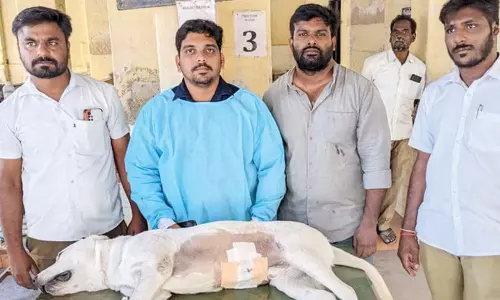 Vets remove pressure-cooker weight from dog’s abdomen at Vellore hosp