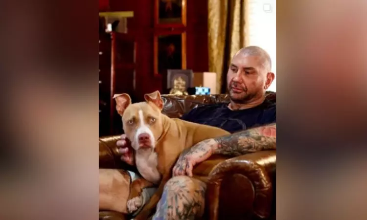 Dave Bautista says Chris Pratt, Millie Bobby Brown helped him adopt dog