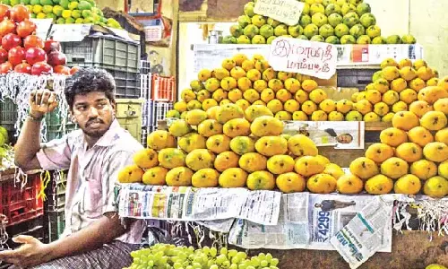 Seasonal fruit prices increased as mercury soar in Chennai