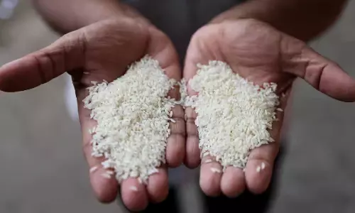 India allows export of 30,000 tonnes of non-basmati white rice to Tanzania