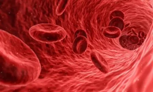 Aplastic anaemia cases high in India, cost of treatments a concern: Experts