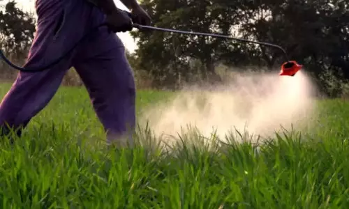 Insecticide-releasing house paint found to be effective in killing yellow fever mosquitoes