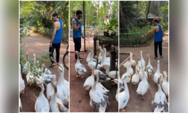 Kartik Aaryan gets mobbed by ducks on his ‘ducks day out’