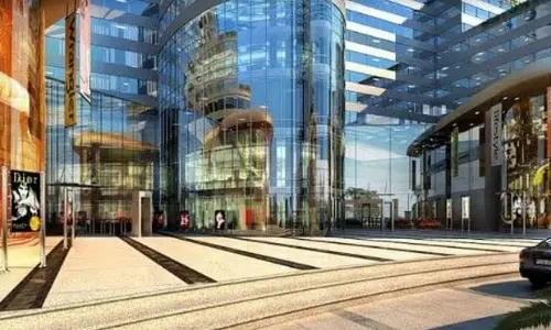 UK Co to import 5LT of betel nuts from Lanka