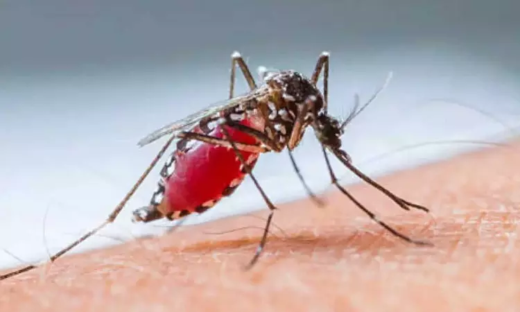 First dengue bout can be as severe as secondary infection, India study finds