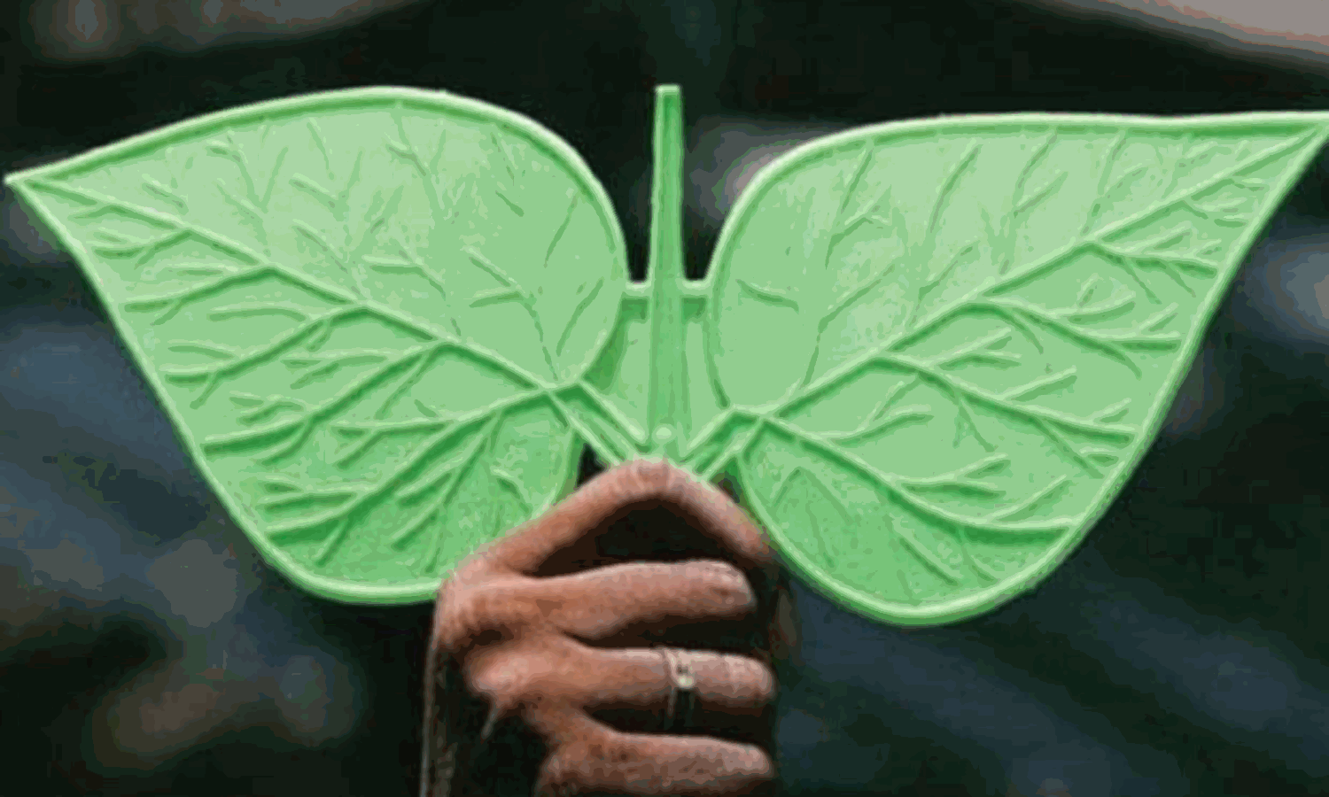 AIADMK interviews over 2,400 candidates in last 2 days