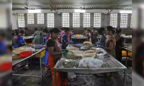 India has robust regulatory, safety framework for seafood units: Commerce min