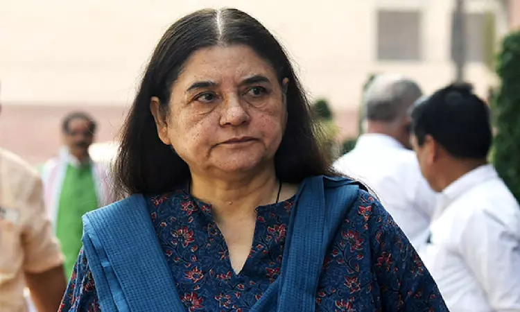 LS Polls 2024: BJP fields Maneka Gandhi from Sultanpur, drops Varun from Pilibhit