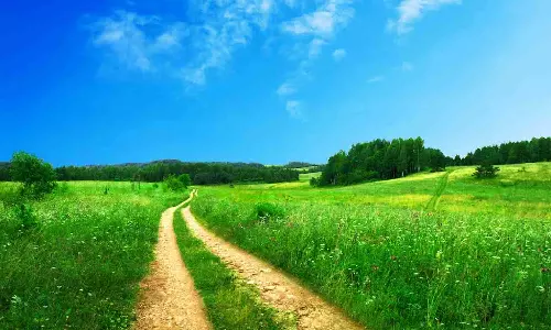 Climate change: Madurai among cities to lose spring season Climate change: Madurai among cities to lose spring season