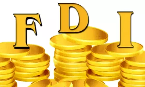 ‘US has benefited from a sharp decline in the share of FDI inflows into China’