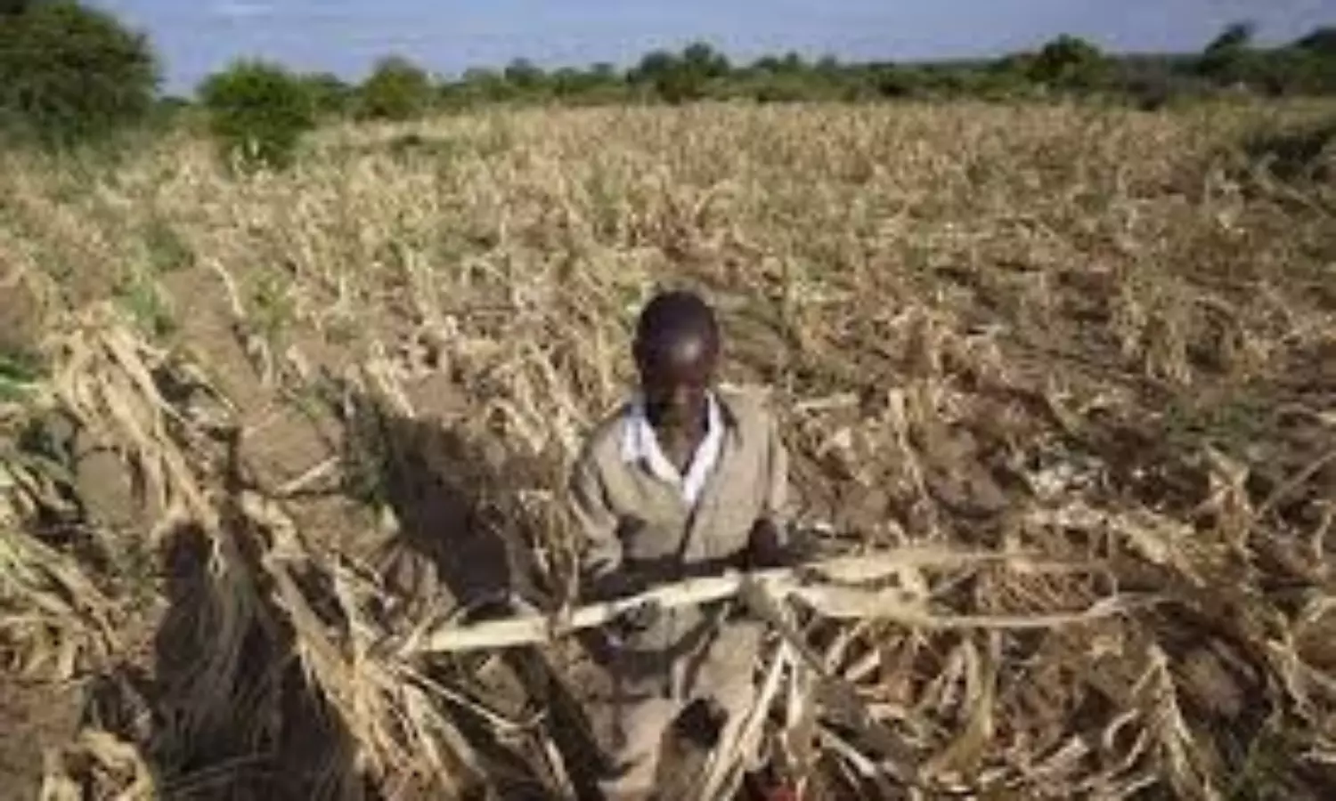 Hunger grips southern Africa as Zimbabwe declares drought a disaster Hunger grips southern Africa as Zimbabwe declares drought a disaster