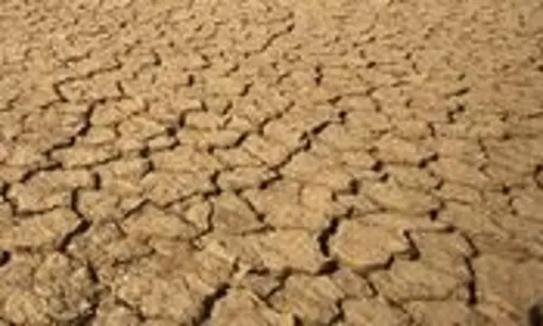 Zimbabwe declares national disaster due to drought
