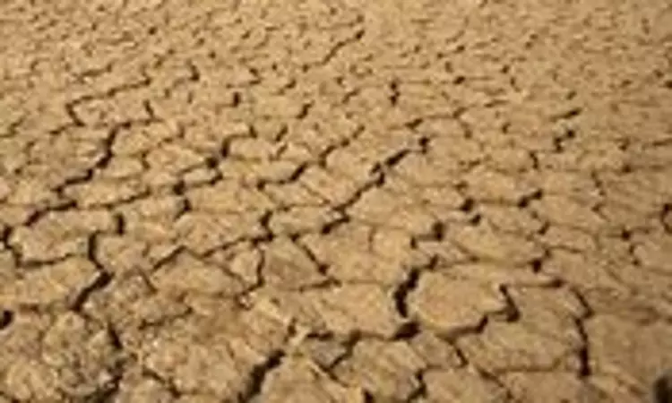 Zimbabwe declares national disaster due to drought
