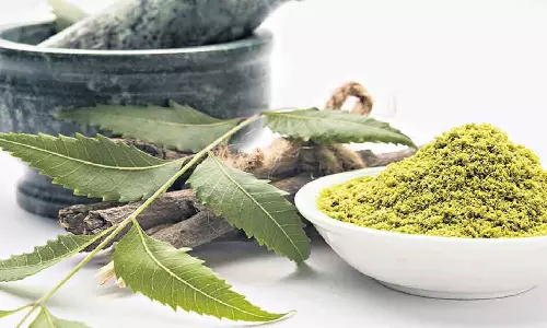 Study pegs Ayurveda product biz at Rs 1.2 L cr