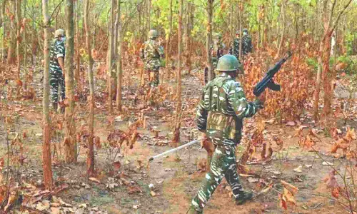 Security forces kill 3 Naxalites in Bijapur