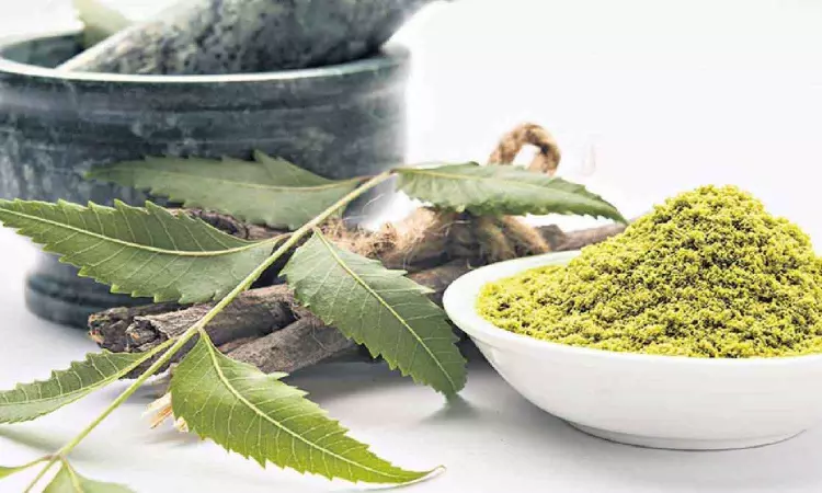 Study pegs Ayurveda product biz at Rs 1.2 L cr