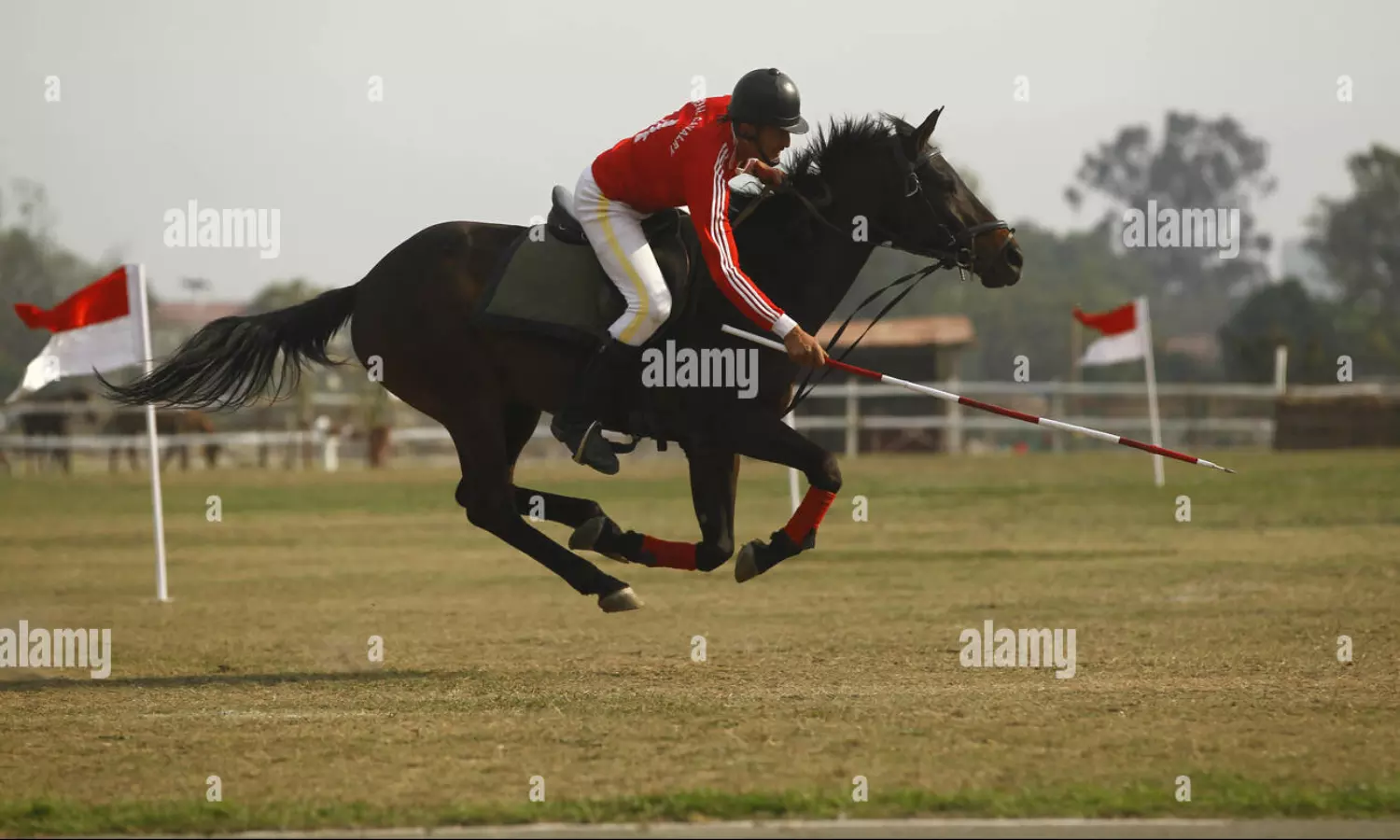 Ghode Jatra: Nepal organises horse racing festival