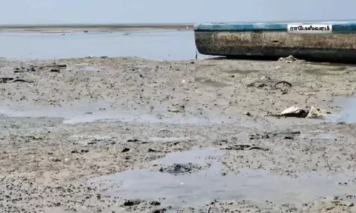 Sea in Rameswaram recedes by 200 metres, triggers fears among fishermen, public Sea in Rameswaram recedes by 200 metres, triggers fears among fishermen, public