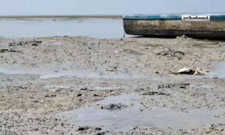 Sea in Rameswaram recedes by 200 metres, triggers fears among fishermen, public Sea in Rameswaram recedes by 200 metres, triggers fears among fishermen, public
