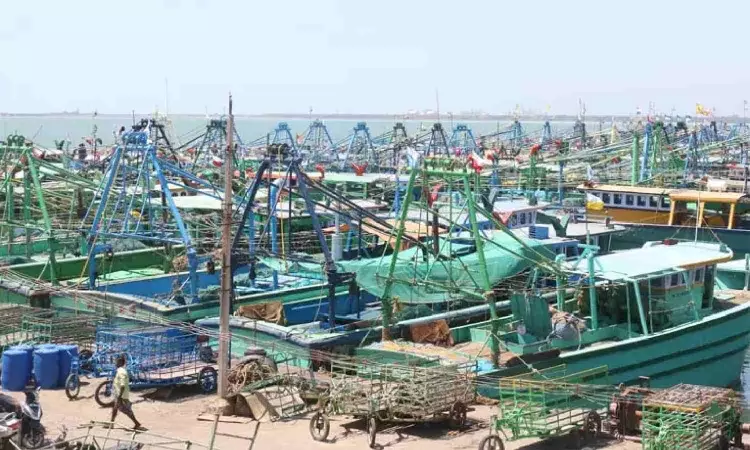 Annual fishing ban announced in Eastern Coast of TN, begins from April 15