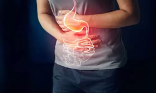 Irritable Bowel Syndrome: Why are young adults at high risk? Irritable Bowel Syndrome: Why are young adults at high risk?