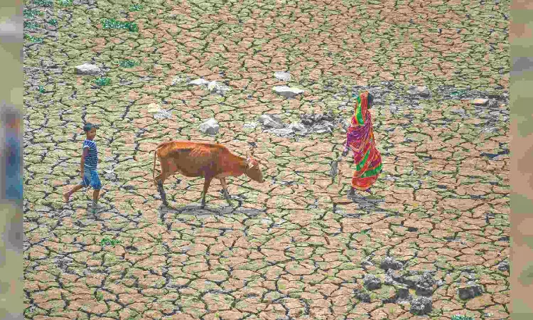 Rainfall to be above-normal this monsoon: IMD