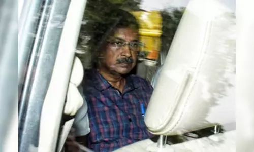 CM Kejriwal eating mangoes to raise sugar level to seek bail: ED alleges in Delhi court