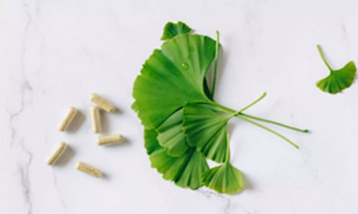 A scientific exploration of herbal supplements for well-being in India