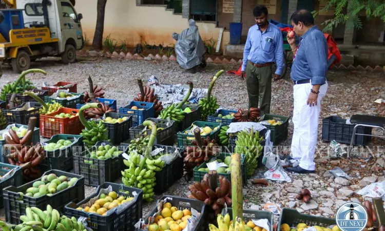 Ahead of mango season, food safety officials conduct raid, seize 4 tonnes of artificially ripened fruits Ahead of mango season, food safety officials conduct raid, seize 4 tonnes of artificially ripened fruits