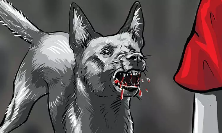 Unidentified men kill stray dog for barking at people approaching her puppies Unidentified men kill stray dog for barking at people approaching her puppies