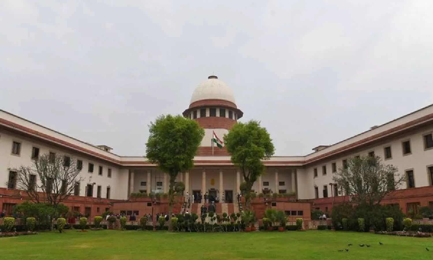 SC refuses plea seeking postponement of CA exams scheduled in May