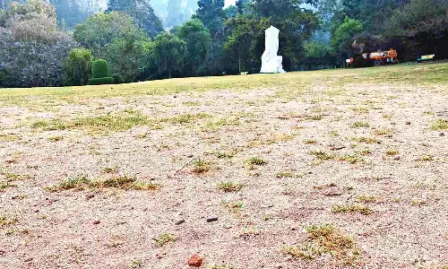 Botanical Garden reels under acute water crisis Botanical Garden reels under acute water crisis