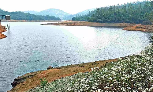 Long dry spell leaves even cool Ooty struggling for water
