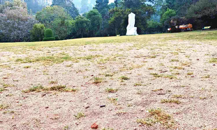 Work on to desilt and deepen wells in Ooty