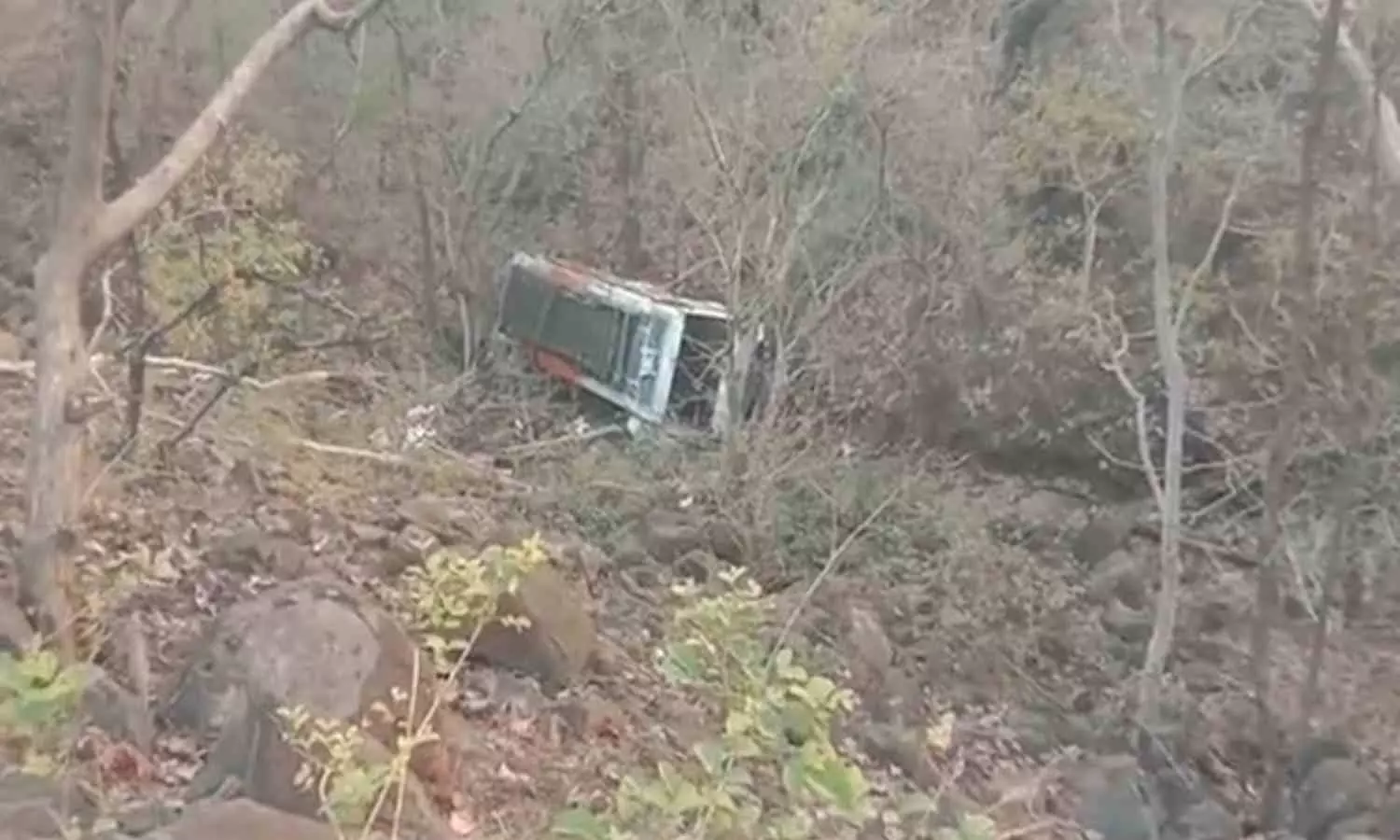 Madhya Pradesh: Several injured as bus falls into deep gorge